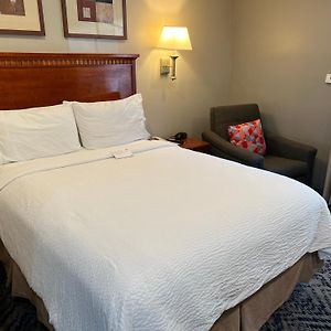 Studio Queen Suite
