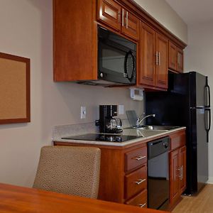 Studio Suite